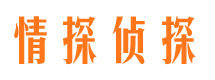 沐川市调查公司